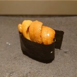 島津 - 馬糞海胆