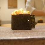 島津 - 馬糞海胆