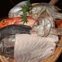 銀平 北新地店 - 