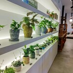 ミッションベイ - 