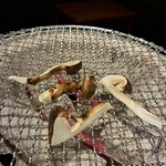 こころをなでる静寂 みやこ - 