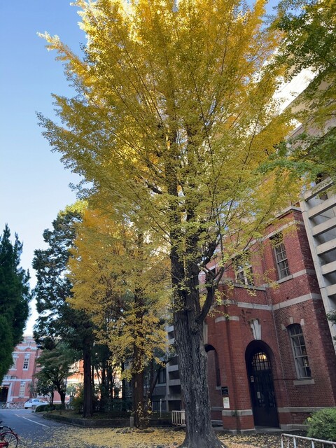 quatre saison photo 5