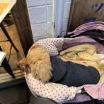 だるまのカドッコ - テラス席を作ってくれた