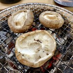 ふく千 立花 - しいたけ