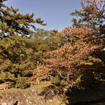 砂屋 - 少しずつ〜紅葉も〜すすんでおります‥˚✧₊