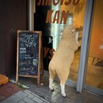 ジンギスカン×厚岸牡蠣  ラムグチカズヤ - 