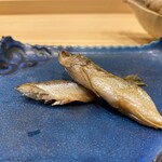 銀座 鮨 しょう介 - 