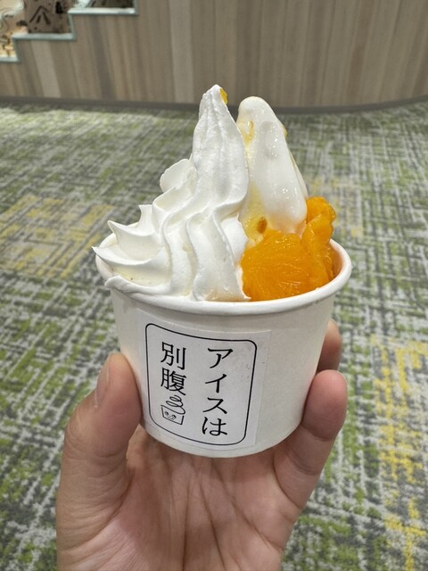 みーくん カルノシン/イオン/アイスX39各30パッチ みーくん カルノシン/イオン/アイスX39各30パッチ みーくん カルノシン