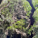 ガンガラーの谷　ケイブカフェ - 