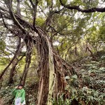 ガンガラーの谷　ケイブカフェ - 今回のガイドさん