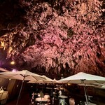 ガンガラーの谷　ケイブカフェ - サンゴで出来た神秘的な空間