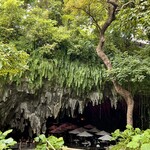 ガンガラーの谷　ケイブカフェ - ツアー受付のあるケイブカフェが見えてきました