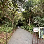 ガンガラーの谷　ケイブカフェ - ケイブカフェはこの先です