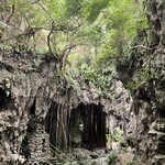 ガンガラーの谷　ケイブカフェ - 