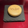 Vv.lab