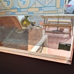 シャンティ - 玄関入ってすぐ左のテーブルは、窓から外光が差し込む開放感ある席です。