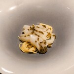 蒼 - 長井湊さかな人長谷川さんより神経締めの障泥烏賊(アオリイカ）とキャビアのフェデリーニ