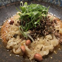 CINA New Modern Chinese - 