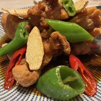 CINA New Modern Chinese - 