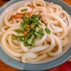 讃岐うどん 野らぼー 大手町店