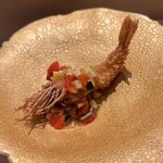 恵比寿 鮨 はつめ - 