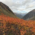 涸沢ヒュッテ - 