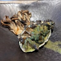 ニュー松坂 西中洲店 - 