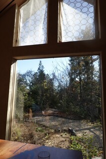 レストラン ナズ - 窓からお庭を