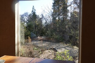 レストラン ナズ - 窓からお庭を