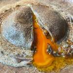 レストラン ナズ - 