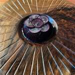 レストラン ナズ - 