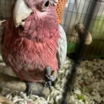 竹英  - 美味しいなぁ