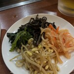 サヤ川 - ナムル