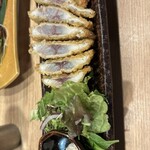 野良のまたたび - 