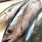 居酒屋 えいと - 