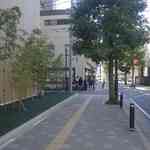 中華蕎麦 とみ田 - 後日改めてとみ田へと足を運んでみると