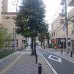 中華蕎麦 とみ田 - 目指すべくとみ田は更に先に進んだところにあり