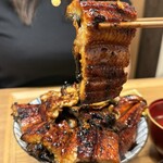 大判鰻 うな拓 - 