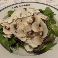 THE UPPER - 
