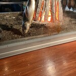 日本橋 墨之栄 - 