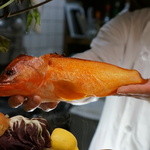 チニャーレエノテカ - アカハタ