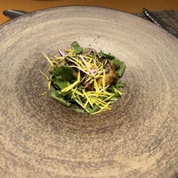 ヤマガタ サンダンデロ - 