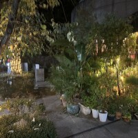 ラ・ビスボッチャ - 