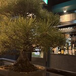 THE GOHAN classic pavilion - 