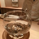 橦木町 しみず - 生きた和良川味女泥鰌