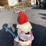 いちはら里山ジェラート - 料理写真:ジェラートブルーベリー400円