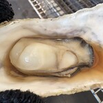 アクアマリン糸島 - 