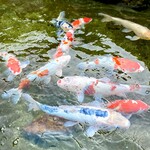 庭園の宿 石亭 - 