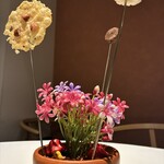 Convivio - チーズのオーブン焼き/里芋/ごぼう