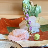 御料理 心馬 - 御造り アイナメ ・甘海老